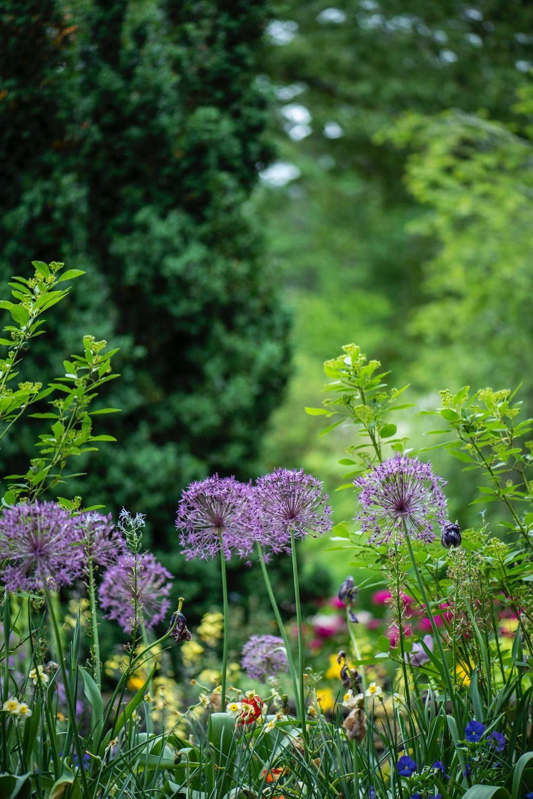 Las Mejores Aspiradoras para Jardín: Mantén tu Espacio Exterior Impecable